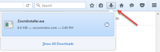 Firefox: recent downloads