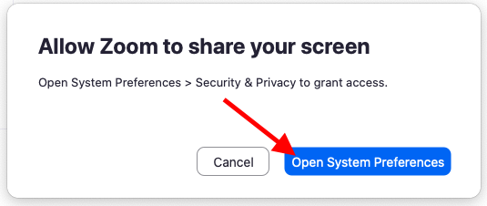 Allow Zoom to share your screen. Open System Preferences > Security & Privacy to grant access. Buttons: Cancel, Open System Preferences